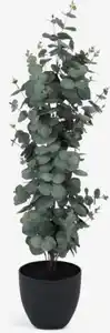 Kunstpflanze RIPA H90cm grüner Eucalyptus