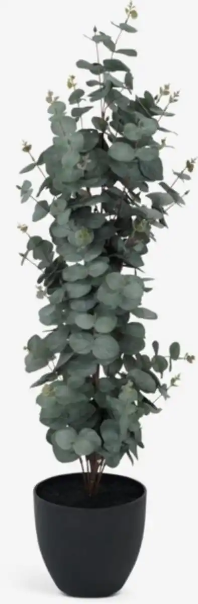 Bild 1 von Kunstpflanze RIPA H90cm grüner Eucalyptus