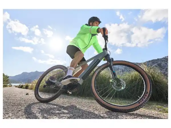 Bild 2 von CRIVIT Herren Funktionshose, mit 2-in-1-Funktion