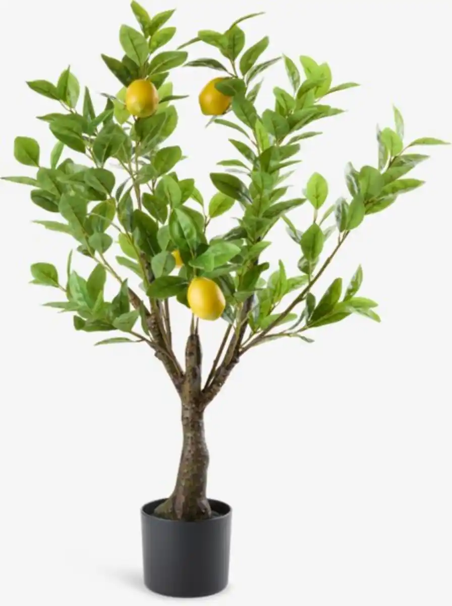 Bild 1 von Kunstpflanze GRANSANGER H95cm grün