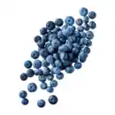 Bild 1 von Kulturheidelbeeren 200g