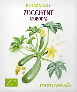 Stadt Land blüht Saaten, Zucchini (Zuboda)