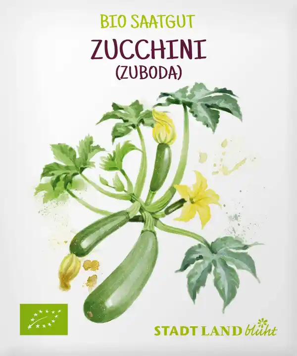 Bild 1 von Stadt Land blüht Saaten, Zucchini (Zuboda)