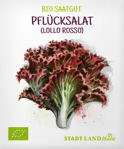 Stadt Land blüht Saaten, Pflücksalat (Lollo Rosso)