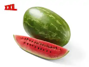 XXL Wassermelone