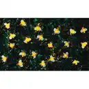 Bild 1 von Solar Lichterkette 30LED Biene