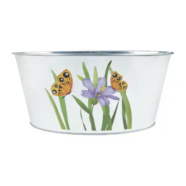 Bild 3 von JES COLLECTION Garten-Sortiment