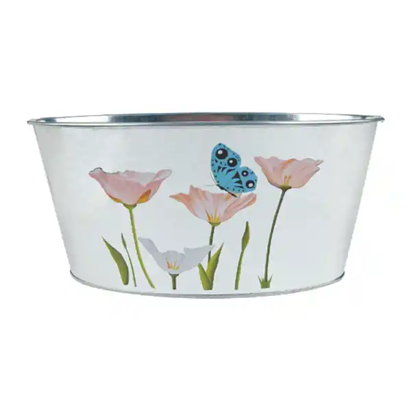 Bild 4 von JES COLLECTION Garten-Sortiment