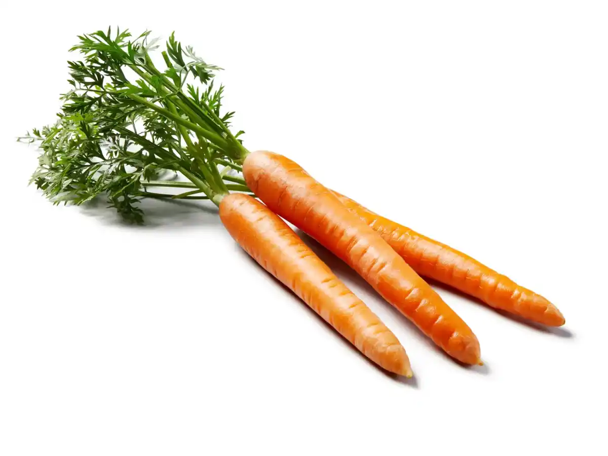 Bild 1 von Deutsche Möhren mit Grün