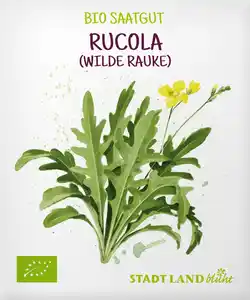 Stadt Land blüht Saaten, Rucola (Wilde Rauke)