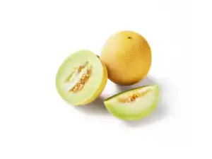 Galiamelone
