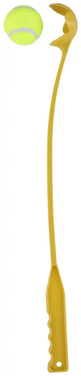 Bild 1 von Ballwerfer