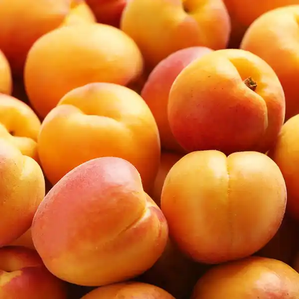 Bild 2 von Super Nivo Aprikosen XXL