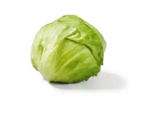 Deutscher Eisbergsalat