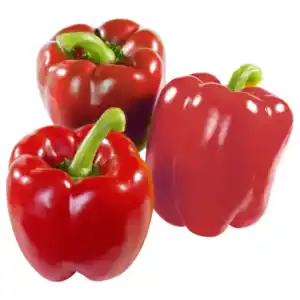 Niederlande Paprika rot