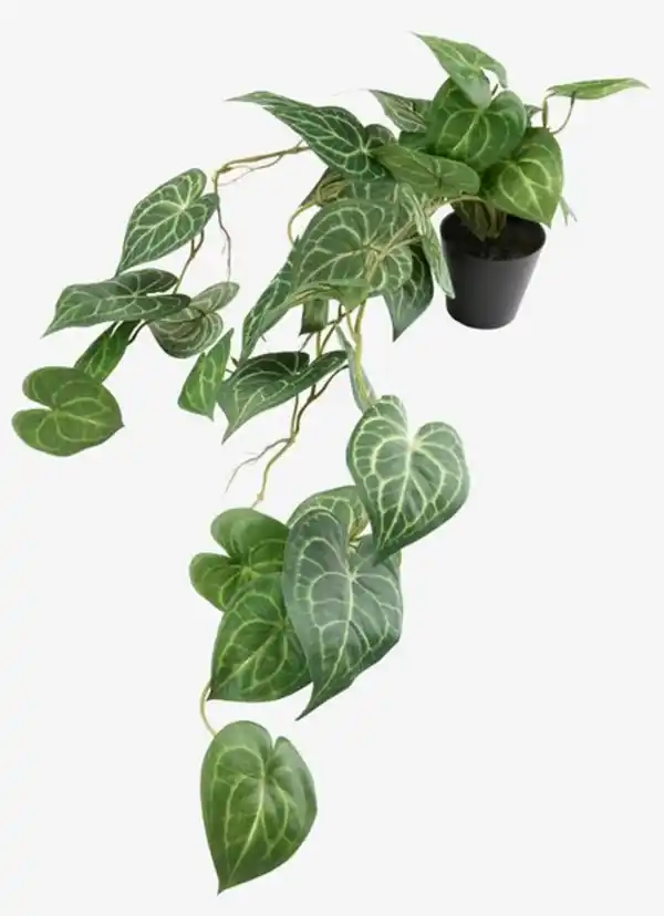 Bild 1 von Kunstpflanze KNOPPSVANE H30cm grün