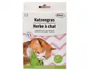 Bild 1 von Bubimex Katzengras 100g
