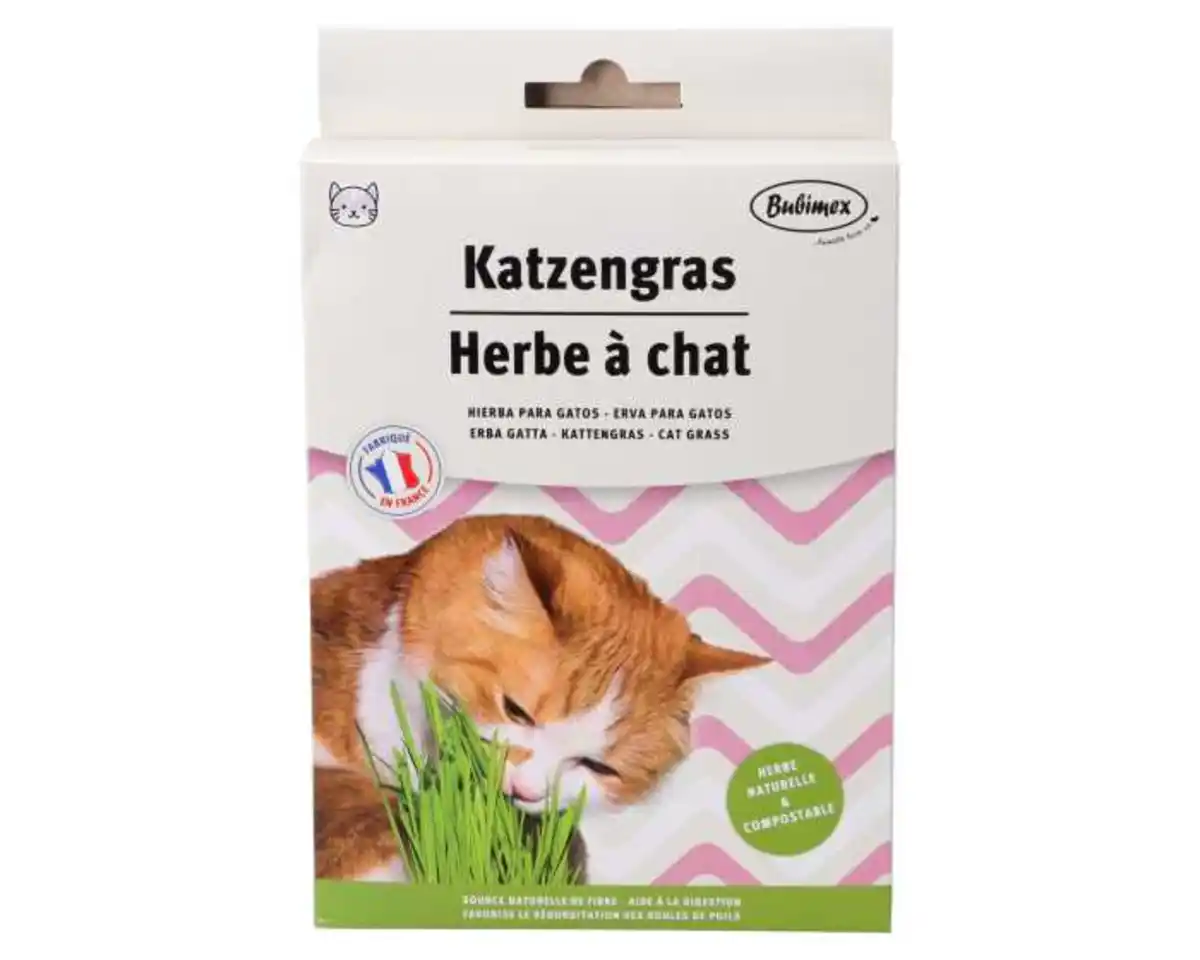 Bild 1 von Bubimex Katzengras 100g