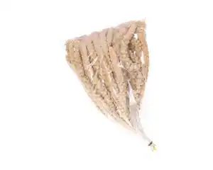 Kolbenhirse gemischt 500g