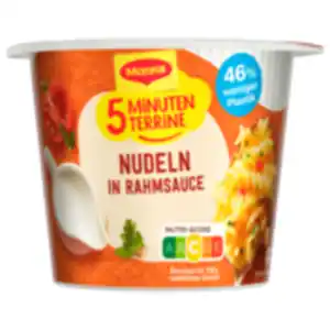 Maggi 5 Minuten Terrine Nudeln in Rahmsauce