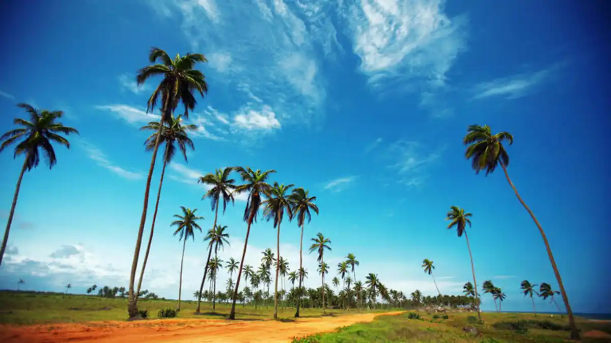 Bild 1 von Rundreisen Togo & Benin: Zwischen Lehmburgen & Voodoo