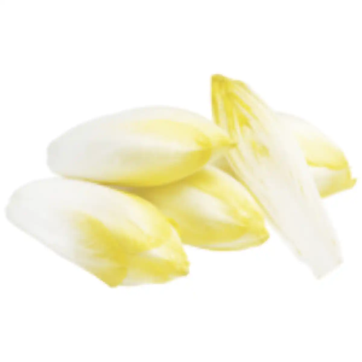 Bild 1 von Chicorée