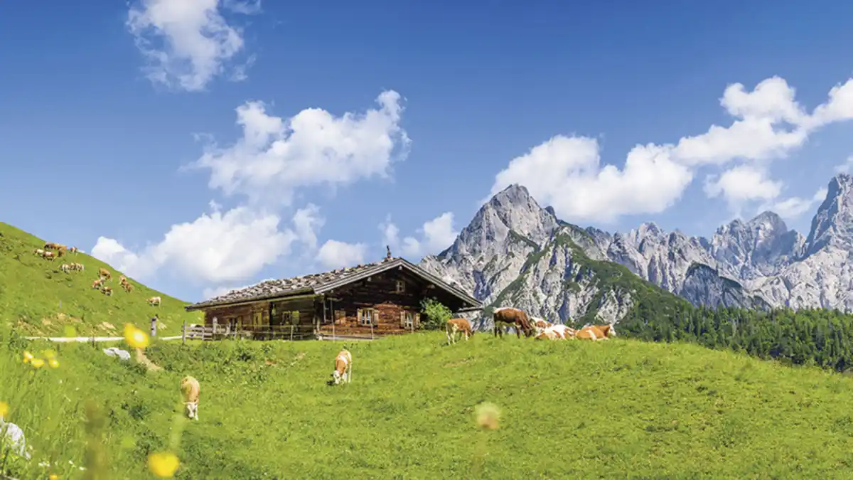Bild 1 von Österreich – Tirol – Kirchberg – 3* Lifthotel Aschaber
