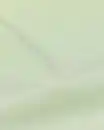 Bild 2 von Bettbezug 140x200/220 cm weiche Baumwolle hellgrün