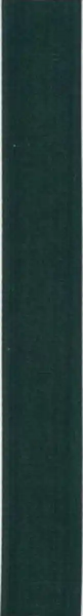 Bild 1 von IDEENWELT Geschenkband matt tannengrün, 5 m