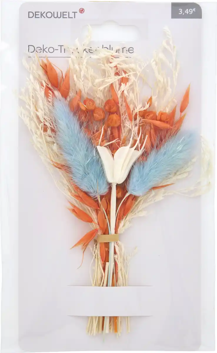 Bild 1 von DEKOWELT Trockenblumen bunt