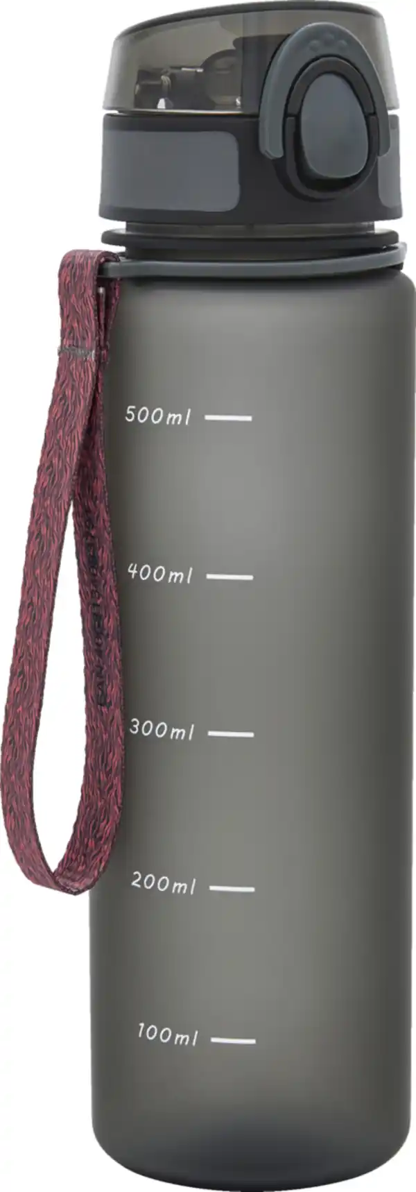 Bild 2 von IDEENWELT Sport-Trinkflasche anthraz./türkis 600ml