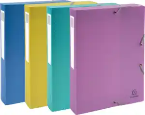 Exacompta Archivbox A4