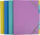 Bild 1 von Exacompta Ordnungsmappe A4
