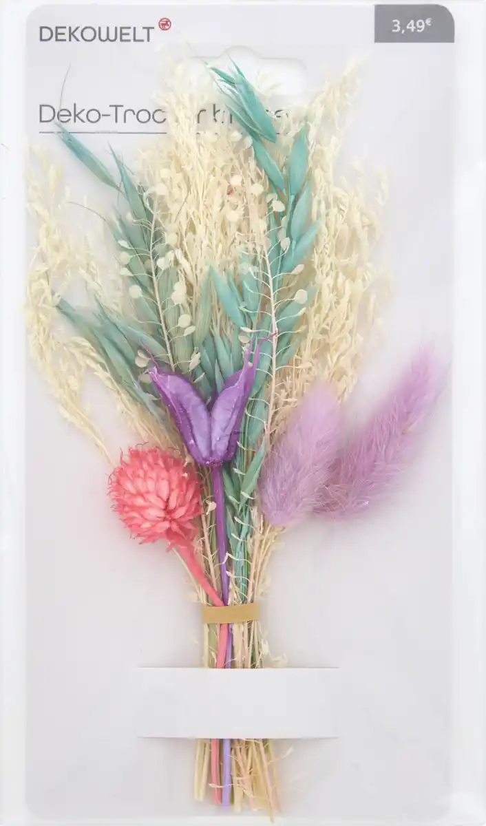 Bild 3 von DEKOWELT Trockenblumen bunt