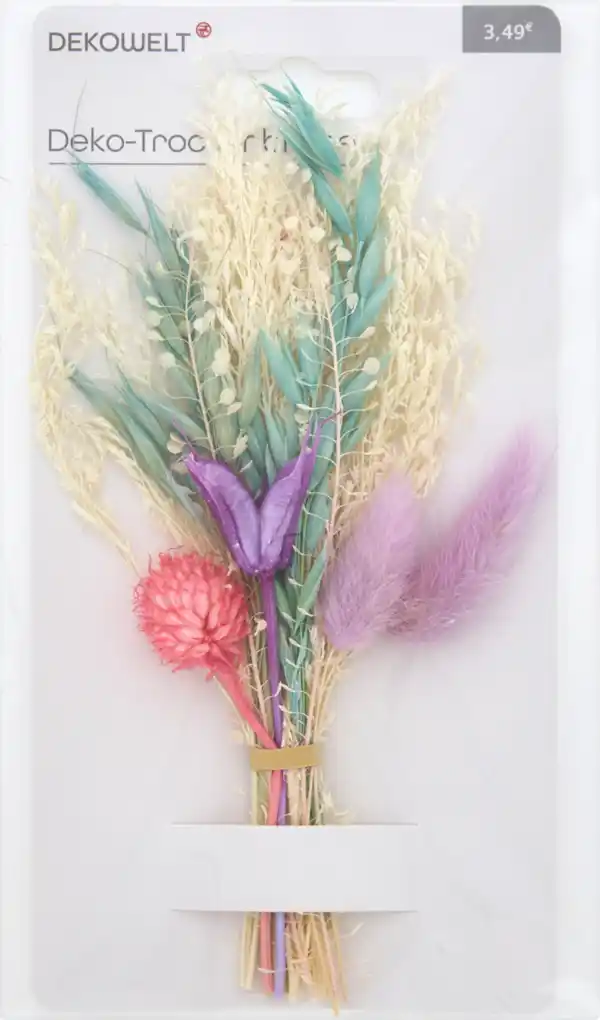 Bild 3 von DEKOWELT Trockenblumen bunt