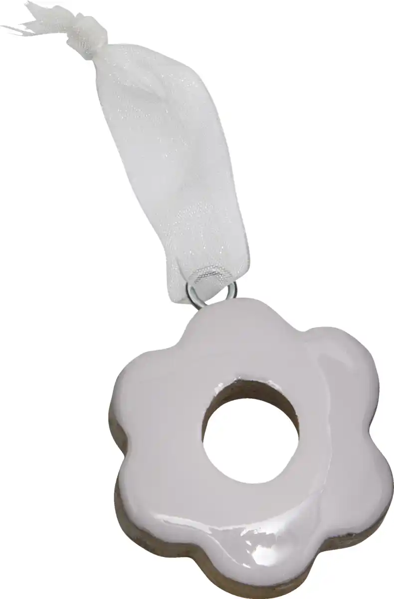 Bild 1 von IDEENWELT Hänger Blume Mango