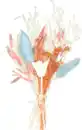 Bild 2 von DEKOWELT Trockenblumen bunt