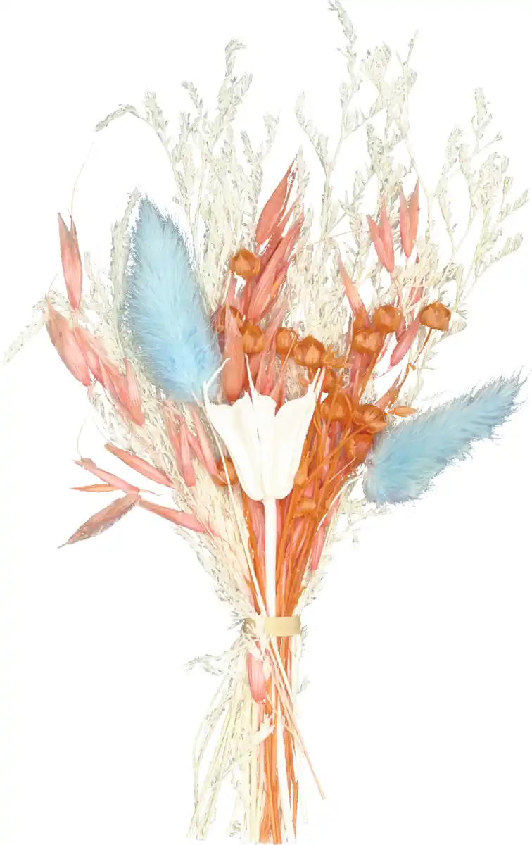 Bild 2 von DEKOWELT Trockenblumen bunt