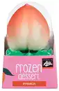 Bild 1 von FRIENDS OF ASIA Frozen Dessert, 90-ml-Packg.