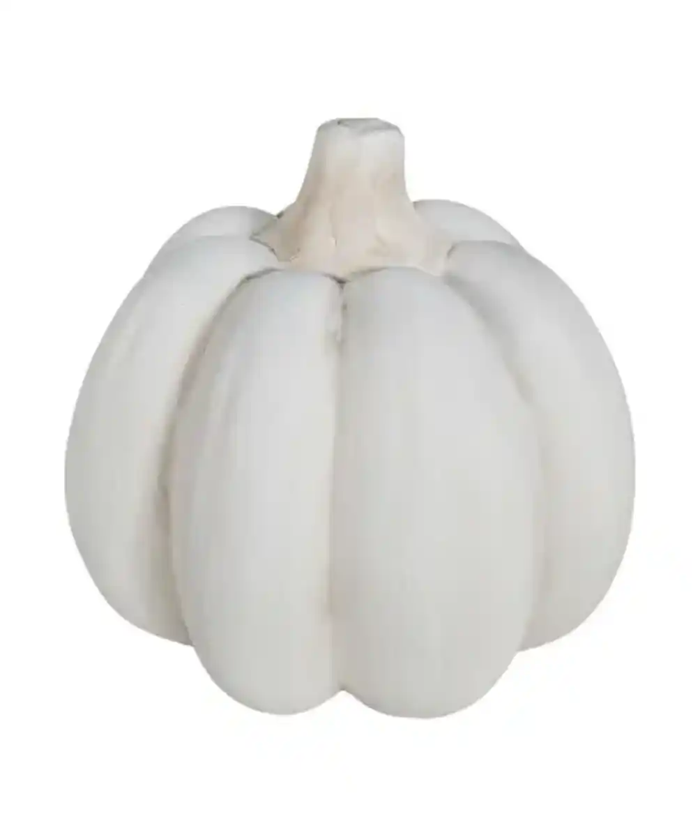Bild 1 von Deko-Kürbis Herbst, weiß