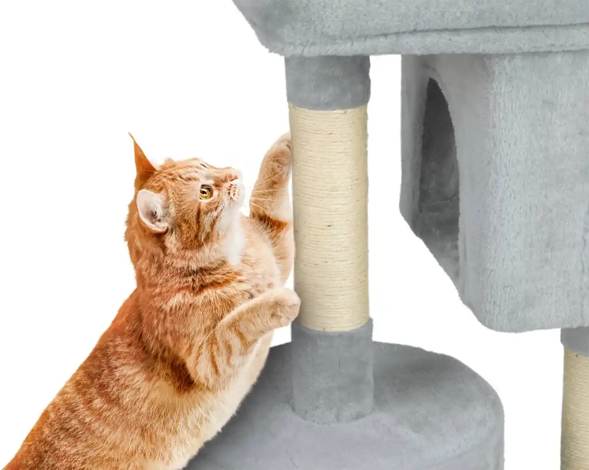 Bild 4 von K-CARINURA® Katzen-Kratzbaum