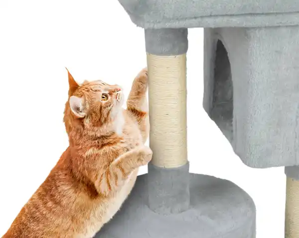 Bild 4 von K-CARINURA® Katzen-Kratzbaum