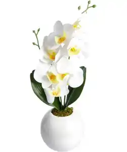Kunstblume Orchidee, weiß