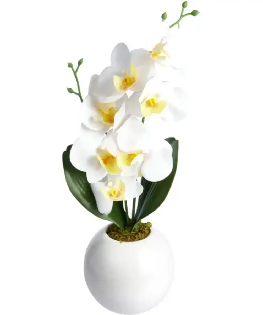 Bild 1 von Kunstblume Orchidee, weiß