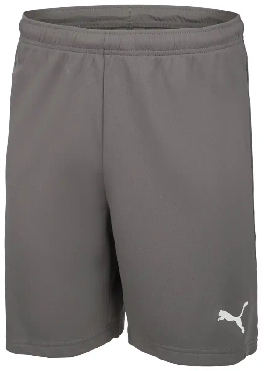 Bild 3 von PUMA Herren-Funktionsshorts