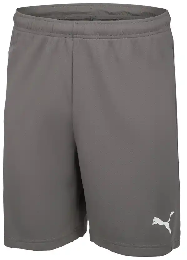 Bild 3 von PUMA Herren-Funktionsshorts
