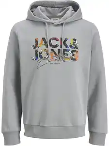 Jack&Jones JJGEPLAS SWEAT Hoodie Grau