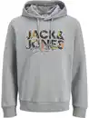 Bild 1 von Jack&Jones JJGEPLAS SWEAT Hoodie Grau