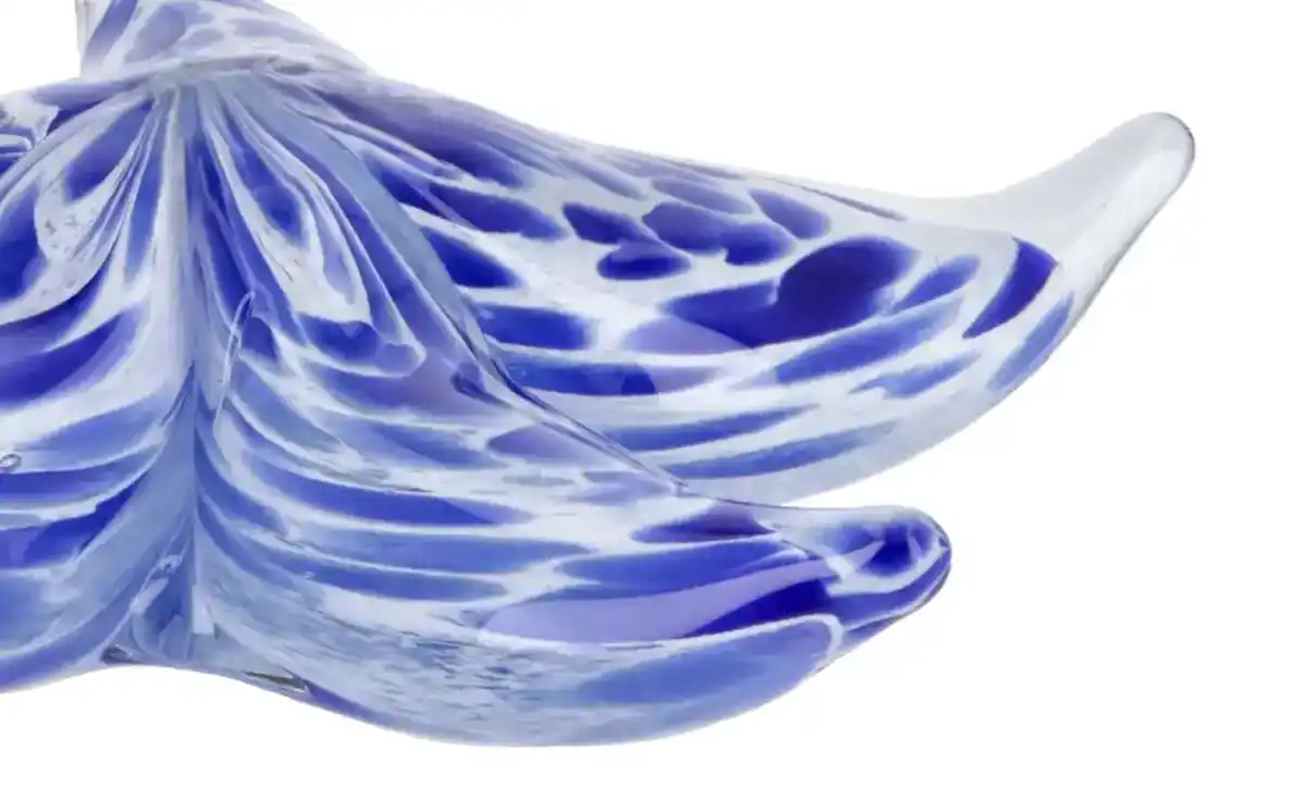 Bild 2 von Deko Seestern