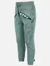 Bild 3 von Jungen Joggpant mit Dinoprint Grün